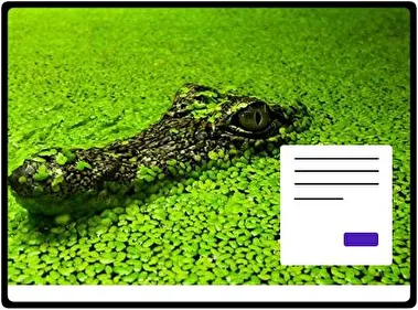 Alligator theme for Windows 11