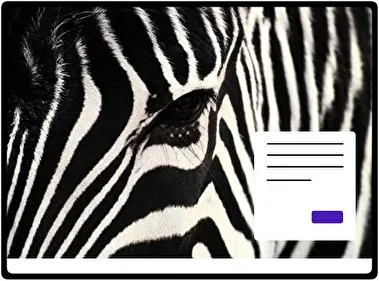 Animal theme for Windows 11