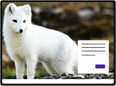 Arctic Fox theme for Windows 11