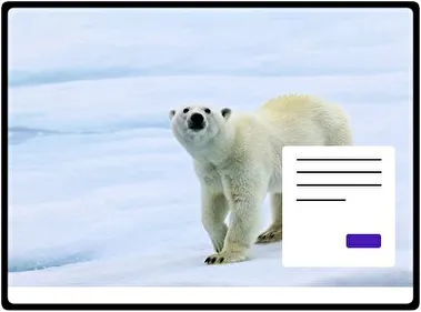 Bear theme for Windows 11