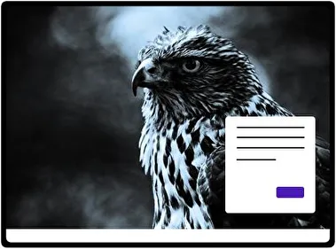 Bird theme for Windows 11