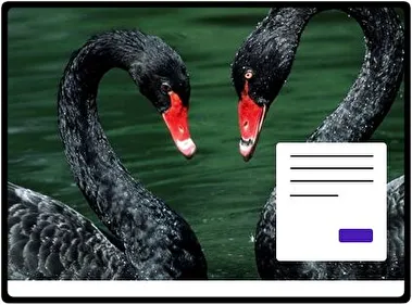 Black Swan theme for Windows 11
