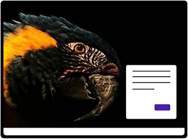 Blue and Yellow Macaw theme for Windows 11