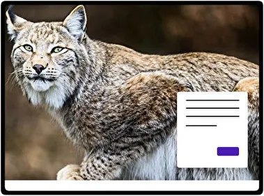 Bobcat theme for Windows 11