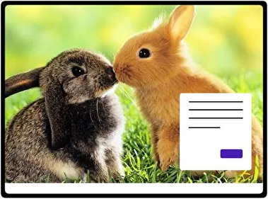 Bunny theme for Windows 11