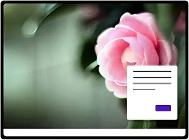 Camellia theme for Windows 11