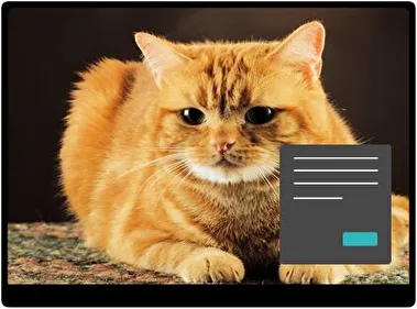 Cat Dark theme for Windows 11