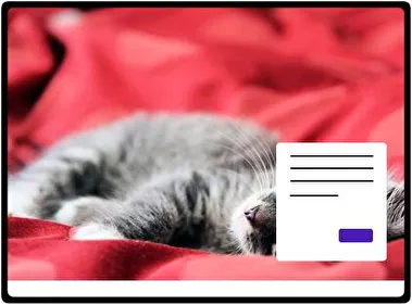 Cat theme for Windows 11