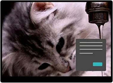 Cats Dark theme for Windows 11