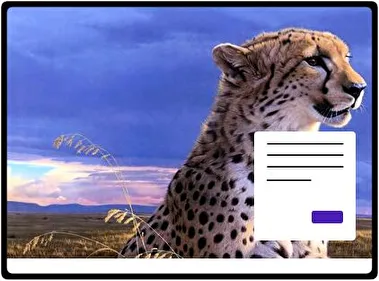 Cheetah theme for Windows 11