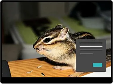 Chipmunk Dark theme for Windows 11