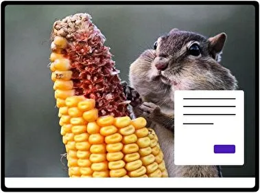 Chipmunk theme for Windows 11