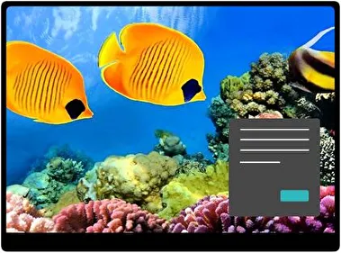 Coral Dark theme for Windows 11