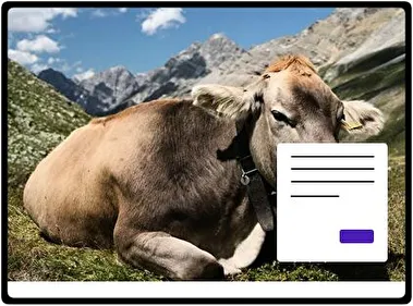 Cow theme for Windows 11