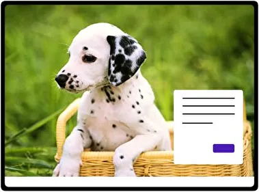 Dalmatian theme for Windows 11