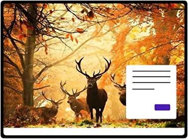 Deer theme for Windows 11