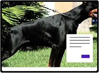 Doberman theme for Windows 11