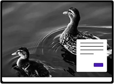Duck theme for Windows 11