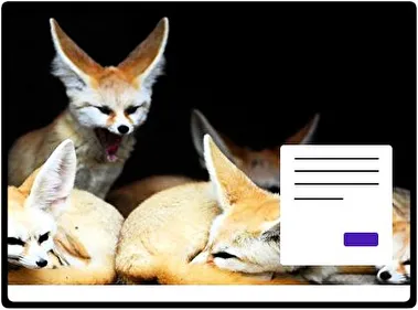 Fennec Fox theme for Windows 11