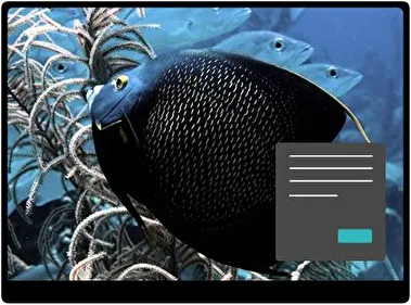 Fish Dark theme for Windows 11
