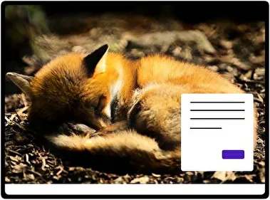Fox theme for Windows 11