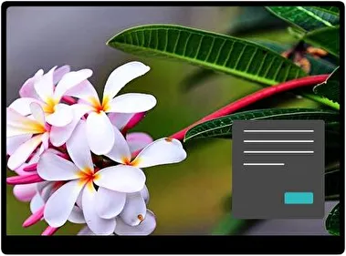 Frangipani Dark theme for Windows 11