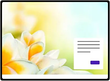 Frangipani theme for Windows 11