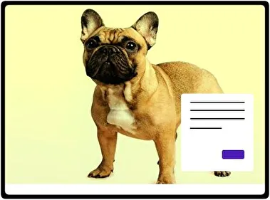 French Bulldog theme for Windows 11