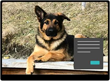 German Shepherd Dark theme for Windows 11
