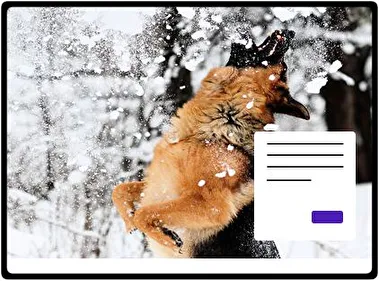 German Shepherd theme for Windows 11