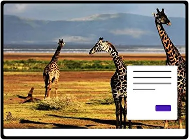 Giraffe theme for Windows 11