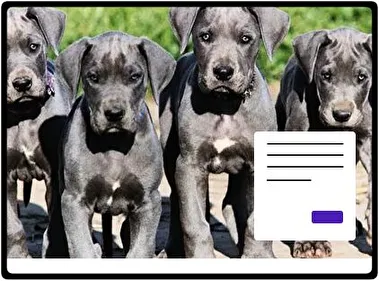Great Dane theme for Windows 11