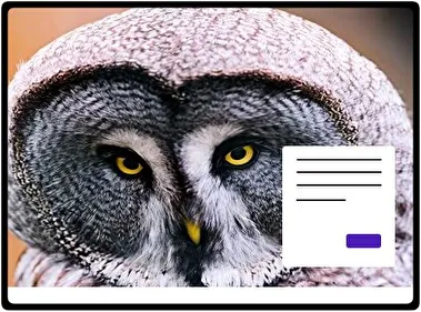 Great Grey Owl theme for Windows 11