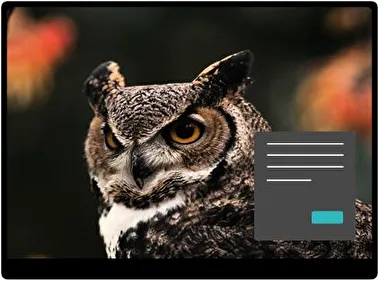 Great Horned Owl Dark theme for Windows 11