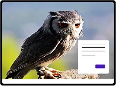 Great Horned Owl theme for Windows 11