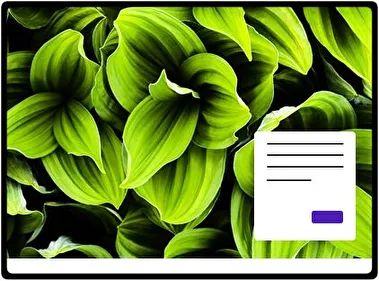 Green Plant Leaf theme for Windows 11