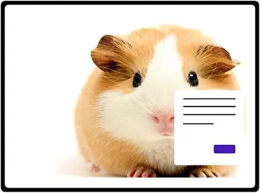 Guinea Pig theme for Windows 11