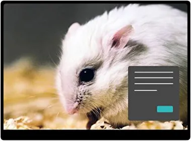 Hamster Dark theme for Windows 11