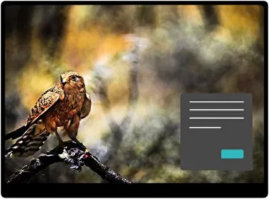 Hawk Dark theme for Windows 11