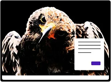 Hawk theme for Windows 11