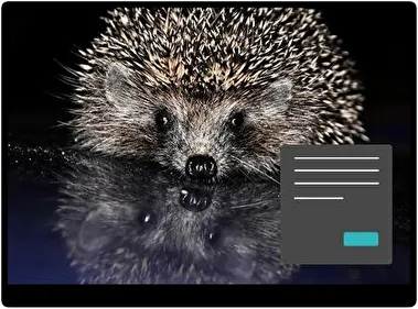 Hedgehog Dark theme for Windows 11