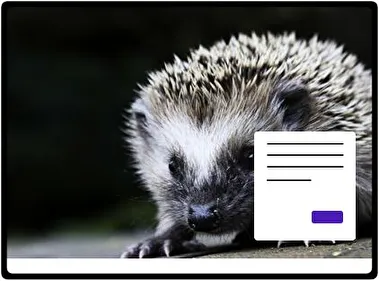 Hedgehog theme for Windows 11