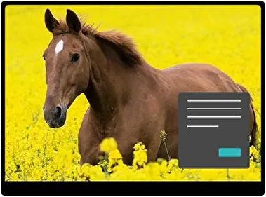 Horses Dark theme for Windows 11