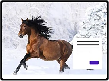 Horses theme for Windows 11