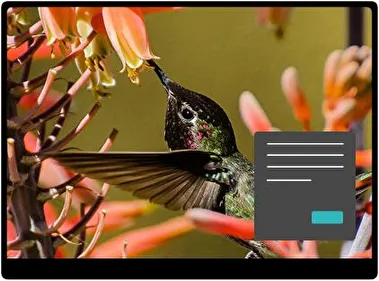Hummingbird Dark theme for Windows 11