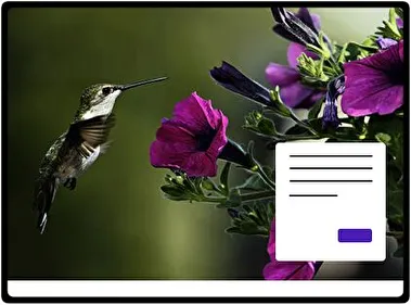 Hummingbird theme for Windows 11