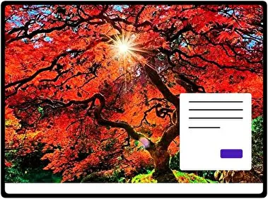 Japanese Autumn theme for Windows 11