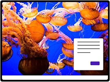 Jellyfish theme for Windows 11