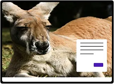 Kangaroo theme for Windows 11