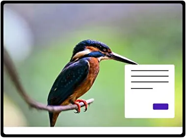 Kingfisher theme for Windows 11